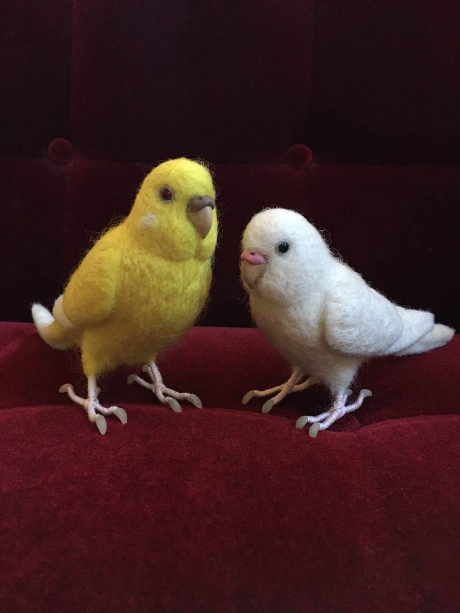 羊毛フェルトつがいセキセイインコ赤目 アルビノ2羽ハンドメイド 羊毛フェルト 通販 Amazon