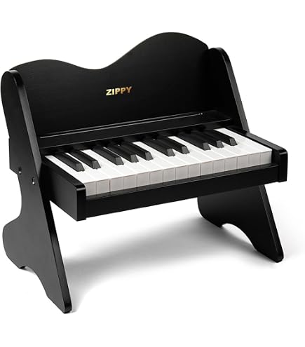 Amazon.com: ZIPPY Kids Piano Keyboard, 25 Keys Digital Piano for