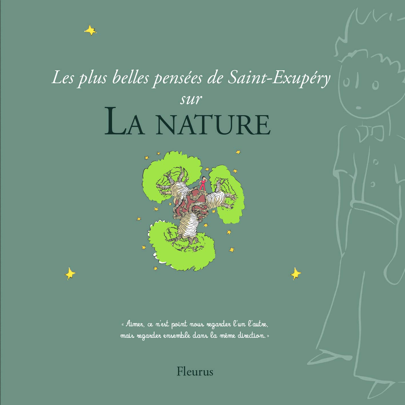 Les Plus Belles Pensees De Saint Exupery Sur La Nature Le Petit Prince Cadeaux French Edition Antoine De Saint Exupery Fleurus Amazon Com Books