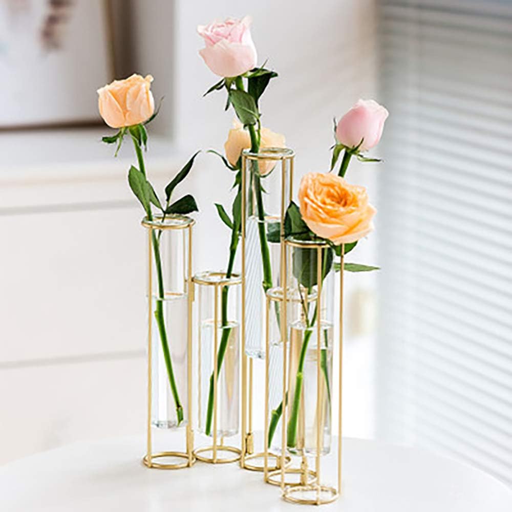 Amazon Com Lackingone 5 Pcs Flower Vase Metal Stand Decorative Glass Flower Vase Metal Stand Hinged Bud Test Tubes Vases Display Set For Home Decor Kitchen Dining