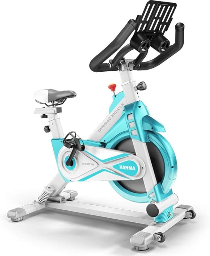 LNDDP Indoor Cycling Bike Flywheel Belt Drive Stationary Bicycle Exercise Bikes