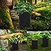 Akarden 3-Pack 7 Gallon Potato Grow Bags, Grow Bags with Waterproof Fabric and Handles for Harvesting Potato, Carrot, Onion, tomata,Vegetable and Flower.thumb 3