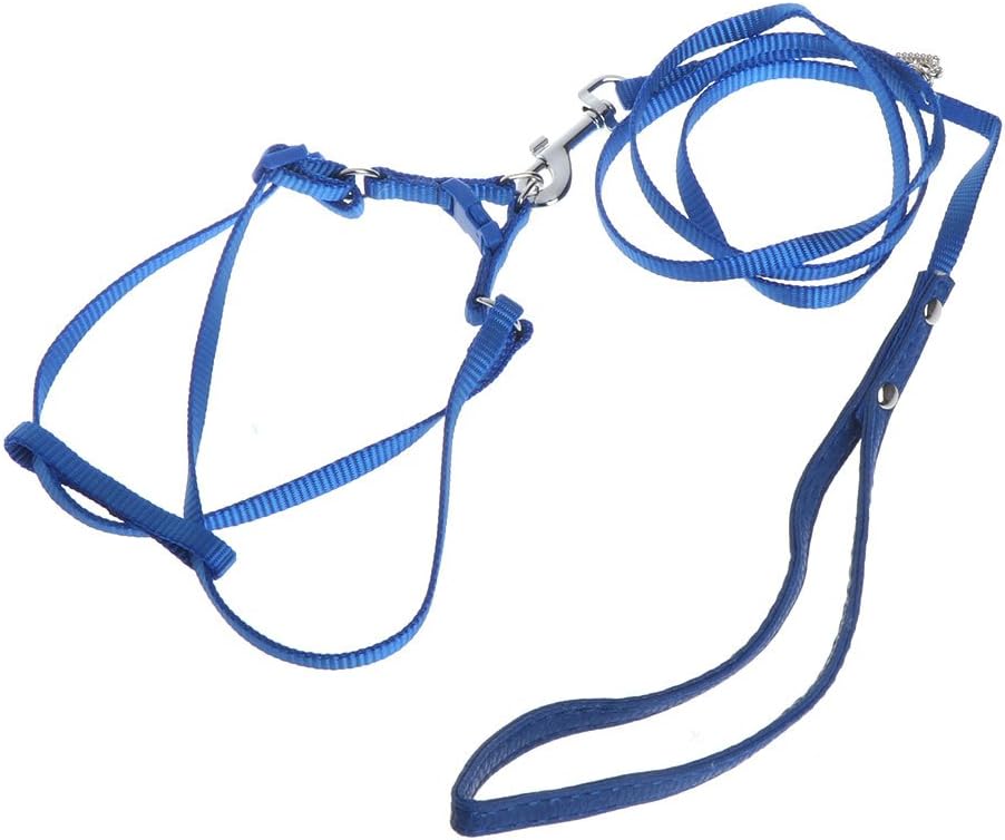 Onpiece Adjustable Pet Bird Parrot Harness and Leash, Anti-bite Training Rope
