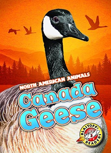 Canada Geese (North American Animals)