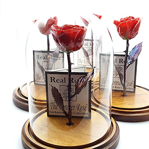 Forever Rose USA Brand The Beauty and The Beast Rose Enchanted Rose