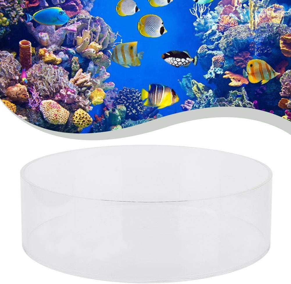 Pssopp Acrylic Coral Viewer Magnifier for Saltwater Marine Aquarium Reef Tank - Image 4