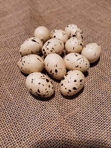 12 Speckled Eggs - Perfect for Floral Arranging, Bowl Fillers, Crafting, Baby Shower Favors, Spring Decorating