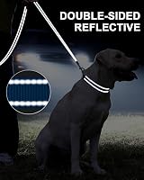 Taglory Dog Leash Small Medium Reflective Soft Neoprene Handle 2cm x 180cm Sky view 5
