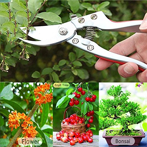 GWCLEO Gartenschere, SK-5 Edelstahl Astschere mit Sicherheitsverschluss,Profi Hande Beschneiden Scheren,Griff aus Weichen Gummi zum Schneiden Büsche,Obst Baum,Sammeln Fruits und Gartenarbeit – Bild 7