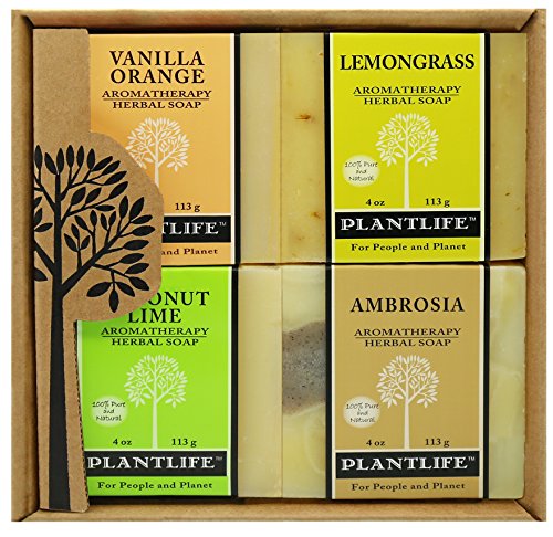 Aromatherapy Herbal Soap Top 4 Pack Soap Combo Fruit Gift Set (Vanilla Orange, Lemongrass, Coconut Lime and Ambrosia)