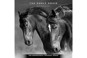 The BrownTrout Portrait Series: The Noble Horse | 2025 12 x 24 Inch Monthly Square Wall Calendar | Pets Equestrian