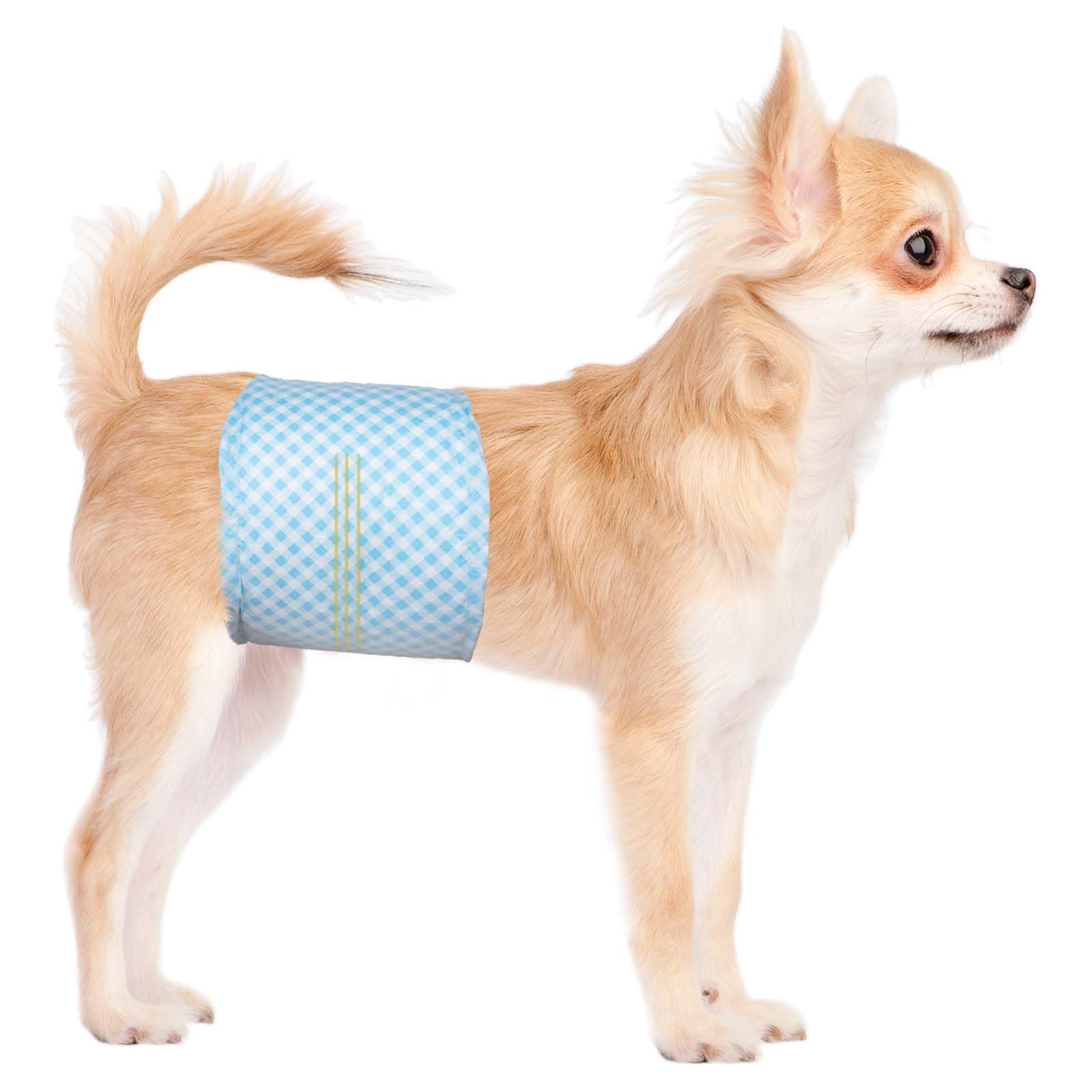 Flying Paws Male Dog Nappies, L-20 count, with Wetness Indicator Super Absorbent Dog Wraps, Adjustable Larger Diapers for Male, Puppy Incontinence Pants