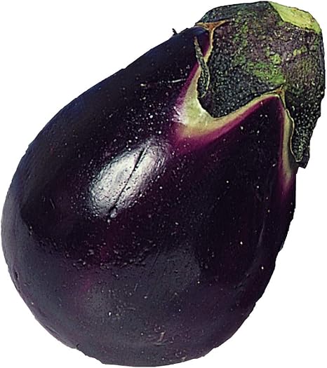 Amazon 国華園 接木野菜苗 水ナス 接木泉州水ナス 4株 21年春商品 Diy 工具 ガーデン