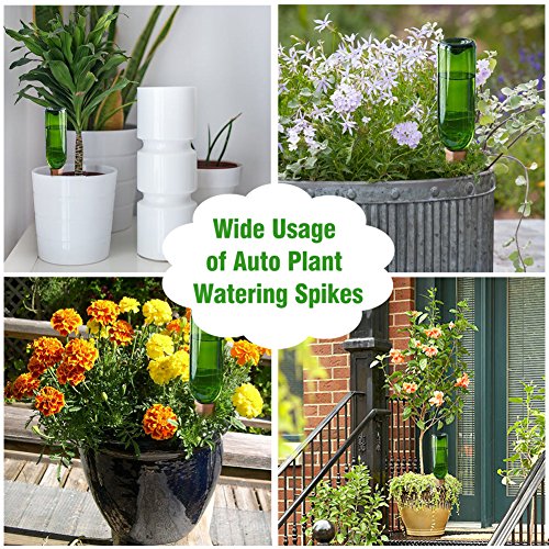 Plant Watering Devices 8 Pack Terracotta Vacation Plant Waterer Wine Bottle Watering Stakes Slow Release Plant Watering Spikes Self Watering Devices for Indoor Outdoor Plants (8) - Thumbnail 6