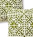 Greendale Home Fashions Outdoor Accent Pillows, Grass, Set of 2