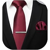HISDERN Mens Ties Solid Color Wedding Ties and Pocket Square Neckties Clip Sets Business Formal Satin Ties for Men