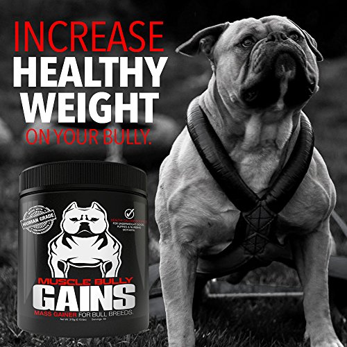 Muscle Bully Gains Mass Weight Gainer, Whey Protein for Dogs (Bull