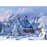 Adarl 5D DIY Diamond Painting Rhinestone Pictures Of Crystals Embroidery Kits Arts, Crafts & Sewing Cross Stitch NEW Day Snow House