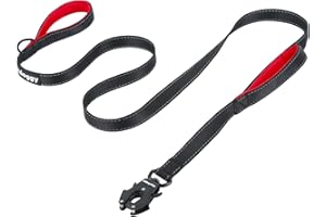 HEYDOGGY Strong Heavy Duty Dog Leash - 6ft Reflective Nylon Training Leash with Soft Padded Double Handle & Auto Lock Frog Clip - Safety Traffic Control for Large Medium Small Dogs No Pull Walk Black Red,6ft
