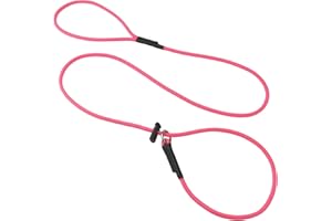 Slip Lead Dog Leash for Small & Medium Dogs, 1/4” x 5ft Sturdy Nylon Rope with Spring-Loaded Adjustable Stopper, Easy On/Off 