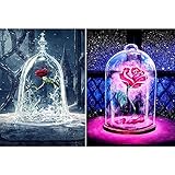 2 Packs 5D DIY Diamond Painting Set Decorating Wall Stickers For Living Room,Full Square Drill Rhinestone(30X40CM/12X16inch) ，Two Rose