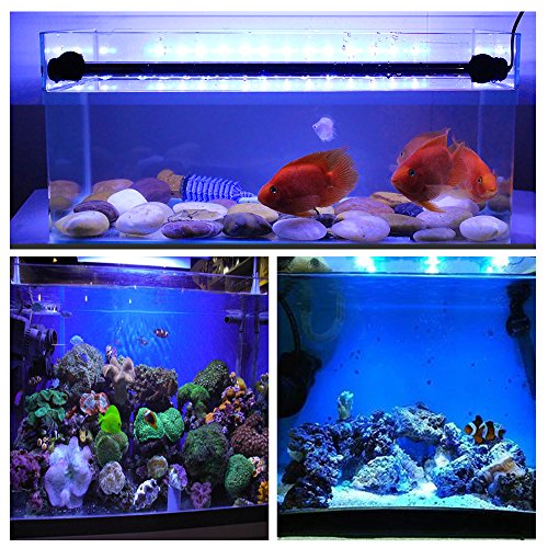 GOESWELL LED Aquarium Light, Aquarium LED Lighting for Fish Tanks White and Blue LEDs Fixture Underwater Submersible Fish Tank Lamp (11.41 inch) - Thumbnail 4