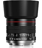 Nikon 55-300mm f/4.5-5.6G ED VR AF-S DX Nikkor Zoom Lens for Nikon