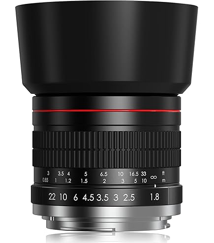 Amazon.com : Sony Alpha SAL85F28 85mm f/2.8 A-mount Standard