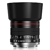 F 85mm f1.8 Portrait Lens - MF for Nikon