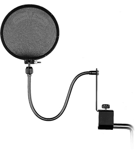 Amazon.com: JZ Microphones Metal Pop Filter Microphone Screen