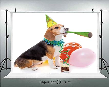 Amazon Com Birthday Decorations For Kids Photography Backdrops