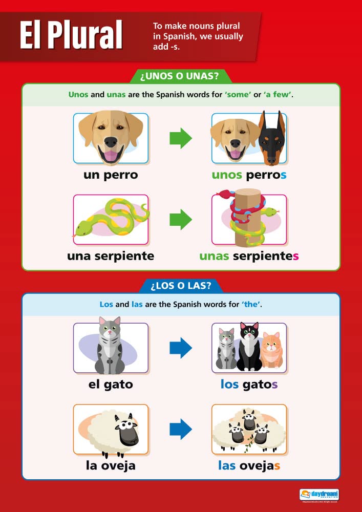 Daydream Education El Plural | Language Learning Posters | Gloss Paper measuring 850mm x 594mm (A1) | Second Language Charts for the Classroom | Education Charts