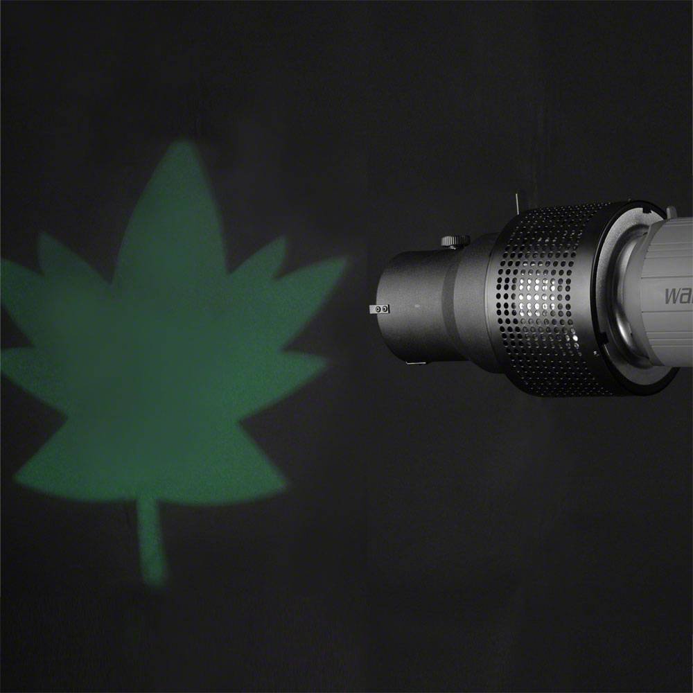 Walimex 16660 kit per macchina fotografica