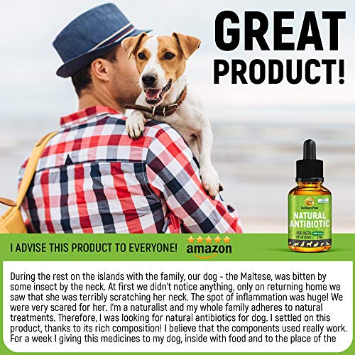 GoldenPaw Natural Antibiotíс for Dogs New Garlic Free Formula