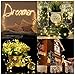 Fairy Lights Fairy String Lights Battery Operated Waterproof 8 Modes 66 LED 16.4ft String Lights Copper Wire Firefly Lights Remote Control for DIY Wedding Party Dinner (Warm White)