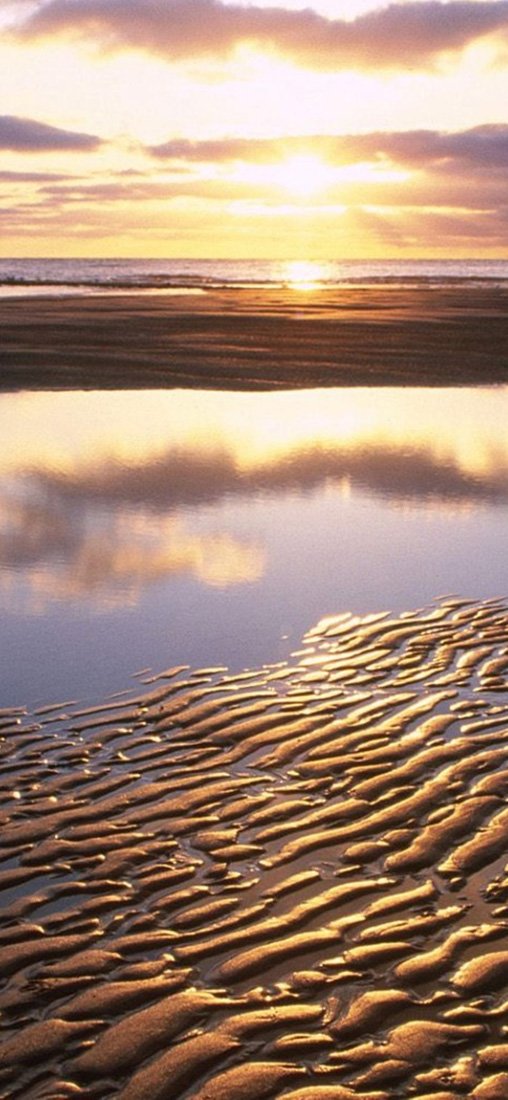 PeelitStickit, Beautiful Nature Wall Murals, ID-3355, vinyl