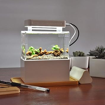 mini aquarium diy