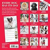 Image de The Dogist Wall Calendar 2017