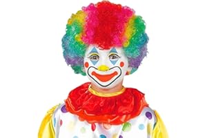 AMSCAN Kid's Rainbow Clown Synthetic Wig - Fits Most Children, 1 Piece - Perfect for Clown Costume Accessory for Parties and Events