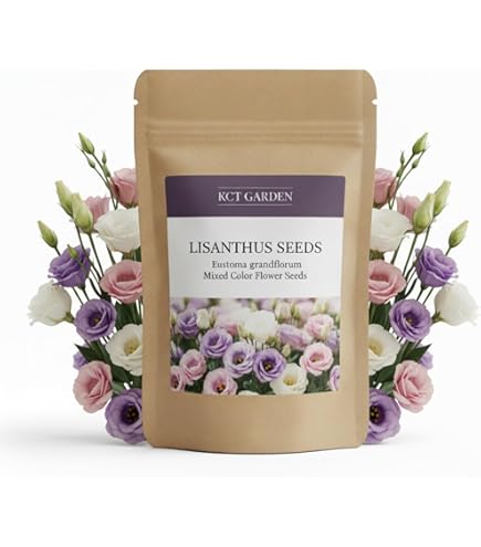 Amazon.com : New Fresh 50pcs Mix Wax Flower Seeds Generic : Patio, Lawn &  Garden