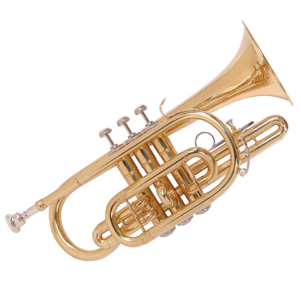 Odyssey OCR200 Debut 'Bb' Cornet Outfit with Deluxe Case & Accessory Kit - Instrument with Gold Lacquered Brass Body and Nickel Silver Valves - Ideal for Beginners and Professionals