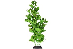 Underwater Treasures Silk Bacopa Monnieri - 12"