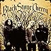 Black Stone Cherry