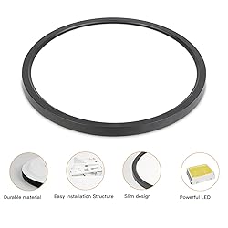 TALOYA Dimmable Flush Mount Ceiling