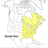 A Peterson Field Guide To Eastern Trees: Eastern United States and Canada, Including the Midwest (Peterson Field Guides)