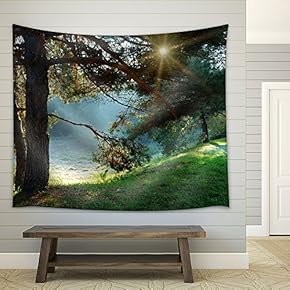 Pine Tree and Sun Rays Through The Branches at Misty Morning - Fabric Wall Tapestry Home Decor - 51x60 inches