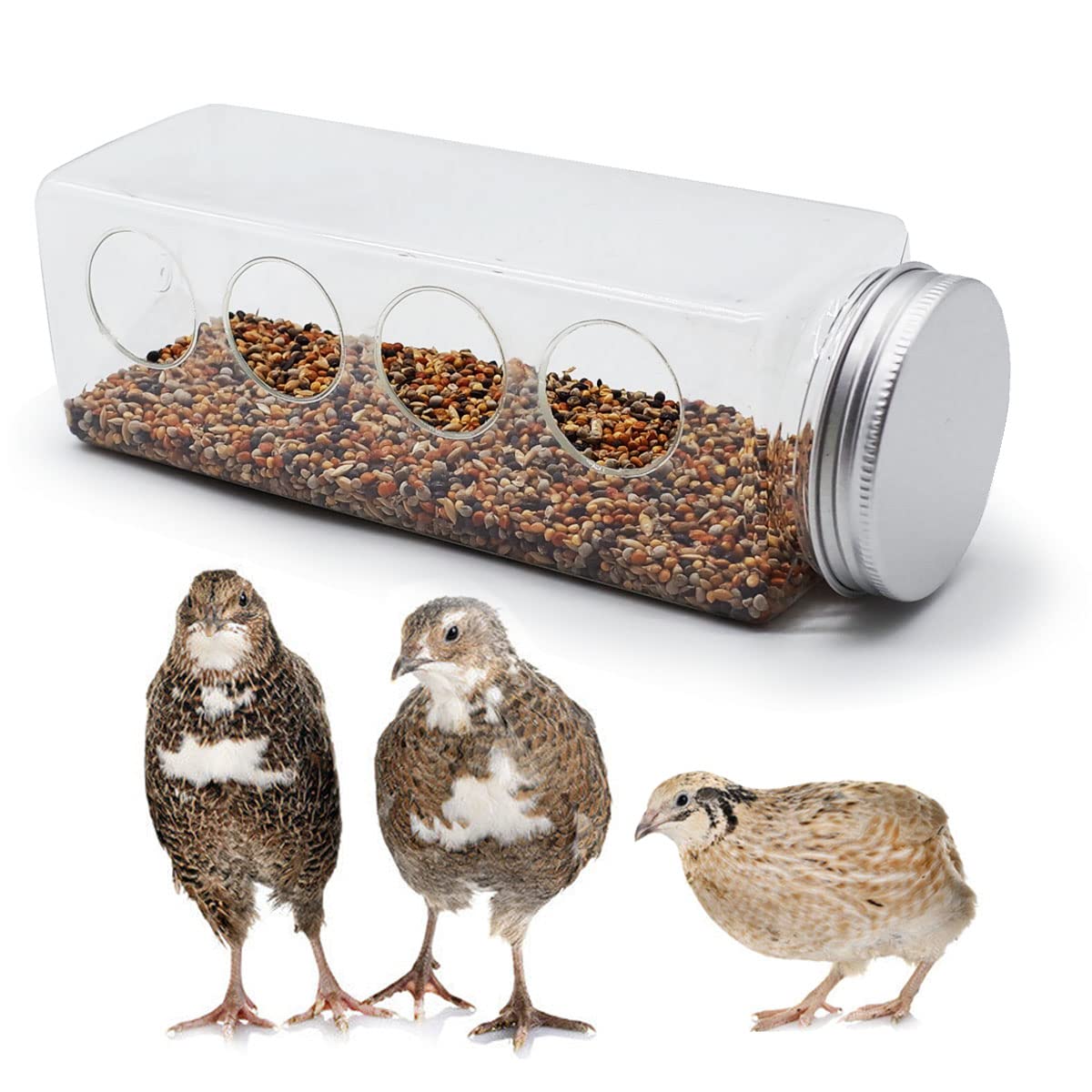 Photo 1 of Button Quail Transparent Feeder Feed Box Seed Food Container (4 Holes)