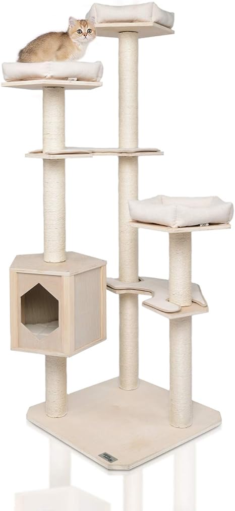 Lazy Buddy Arbre A Chat Moderne En Bois 6 Niveaux Pour L Activite Des Chats Meubles De Chat Avec Tapis Amovibles Et Lavables Pour Chatons Grands Chats Et Animaux Domestiques Amazon Fr Animalerie