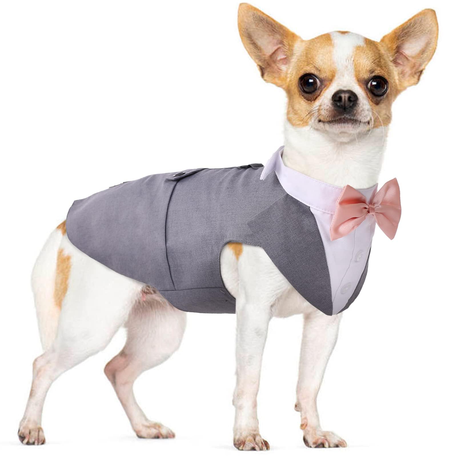 Photo 1 of PUMYPOREITY Small Dog Bowtie Tuxedo Suit, Dog Wedding Outfit, Cat Tuxedo, Dog Tuxedo and Bandana Set for Chihuahua, Boston Terrier, Bichon, Corgi, Pomeranian, 2 Pieces/Pack, S, Grey