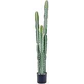 bellacat UV Resistant 5ft Large Artificial Cactus with Black Pot, 60in Realistic Faux Plants Indoor, Lifelike Fake Cactus Plant for Indoor and Outdoor Home Office Store Porch Patio Garden Decor